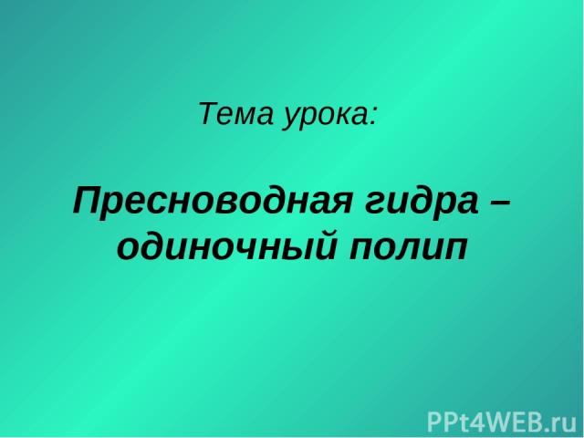 Кракен маркетплейс в питере