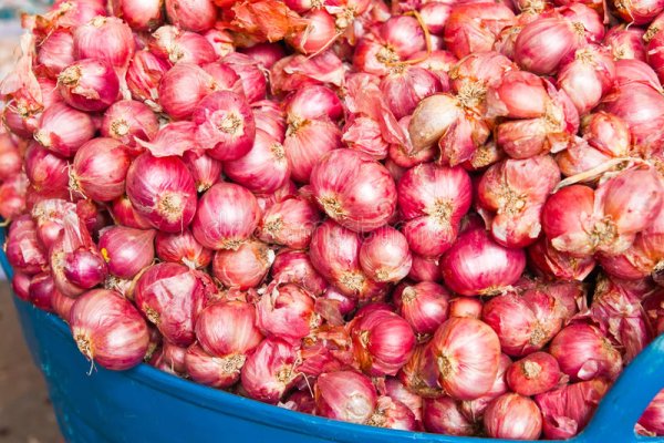 Kraken рабочее зеркало onion