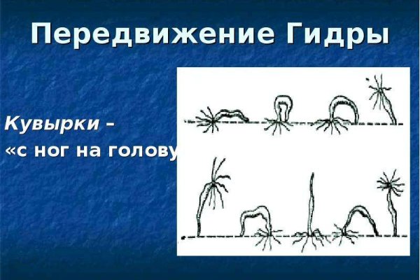 Кракен действующая ссылка