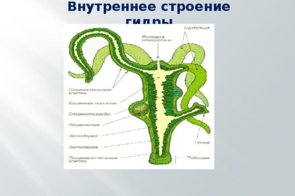 Kraken market зеркала