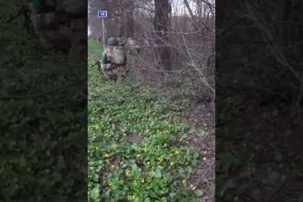 Ссылки сайтов даркнета