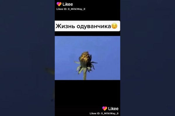 Почему не работает кракен сегодня