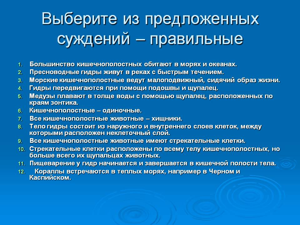 Активная ссылка на кракен